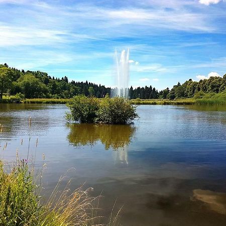 Ferienappartement Balbiani Hahnenklee-Harz Goslar Dış mekan fotoğraf